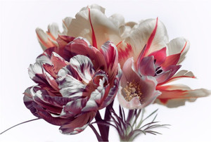 Products: Red tulips and spring flowers Smart Art Design