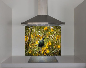 Products: DIY Splashback Honeyeater bird the Tui Smart Art Design
