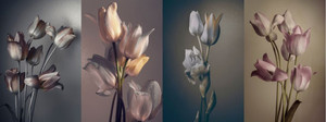 Products: Spring tulips, four bouquets in four images Smart Art Design