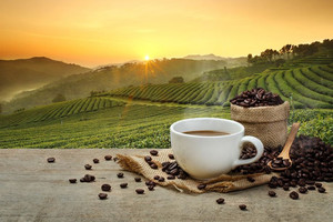 Products: Hot coffee cup with organic coffee beans Smart Art Design