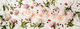 Rose wine variety layout Smart Art Design