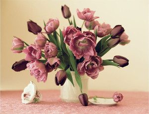 Products: Tulips Smart Art Design