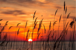 Products: Peaceful Chesapeake Bay Smart Art Design