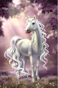 Products: Unicorn in full growth Smart Art Design