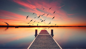 Products: Wooden pier Smart Art Design