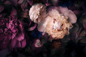 Products: Peonies and alstroemeries Smart Art Design