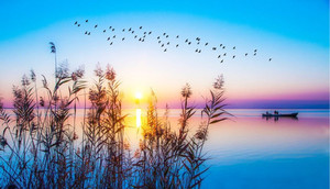 Products: Blue sunrise on calm lake Smart Art Design