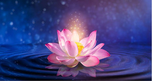 Products: Lotus Pink Smart Art Design