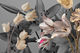 Spring tulips Smart Art Design