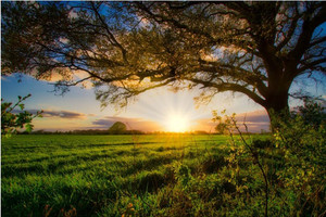 Products: The sun sets behind the meadows Smart Art Design