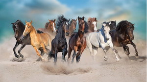 Products: Horses run on desert storm Smart Art Design