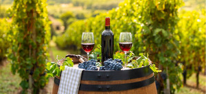 Products: Barrel outdoor in Bordeaux Vineyard Smart Art Design