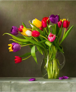 Products: Still life with colourful tulip Smart Art Design