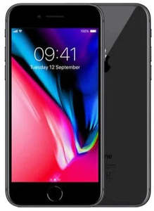 All: Apple iPhone 8 256GB Space Gray - New Battery, Case, Screen Protector (Exc)