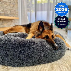 The Brookyln: Brooklyn® Deep Sleep Pet Bed