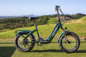 Alpine Xplorer Foldable E Bike