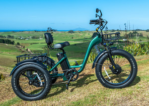 E Bikes: SP500 E-TRIKE