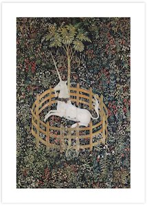 Kids Room: The Unicorn in Captivity