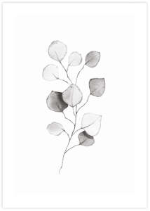 Eucalyptus Leaves II