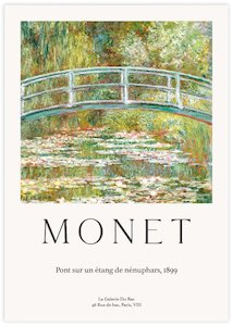 Floral: The Water Lily Pond