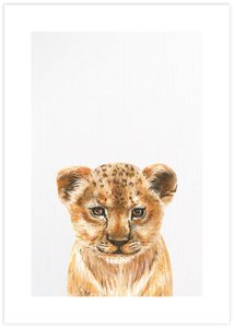 Baby Lion