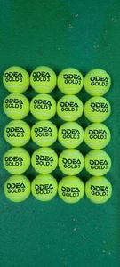 Products: Odea Gold Training 20 Ball Bundle