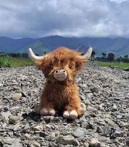 Molly Highland Weighted Teddy - Special