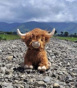 Cotton Spandex Highland and Friends Sensory Sheet and Cow Combo - Special