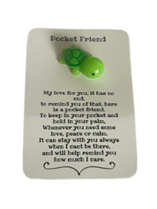 Products: Pocket Friend Turtle