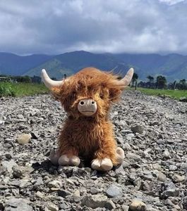 Molly Highland Weighted Teddy