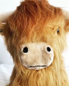 Milly Highland Weighted Teddy
