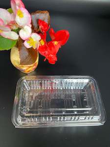 Plastic Sushi Box: Plastic Sushi Box RX-M1     1400pcs