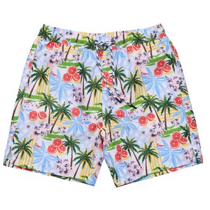 Family: Mens Ciao Paradiso Swim Short