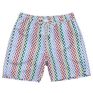 Mens Block Party Swim Short