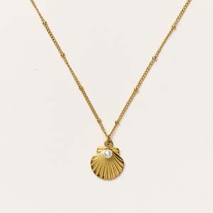 Home S24: Shimmer & Shell Necklace