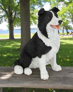 Animals: Sitting Border Collie