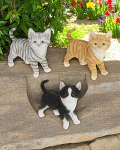 Animals: Standing Kittens