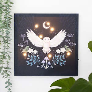 Small Canvas Pictures: Night Owl Light Up Canvas Picture NEW!