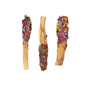Smudge Sage Palo Santo: Dipped Chakra Harmony Palo Santo Pops