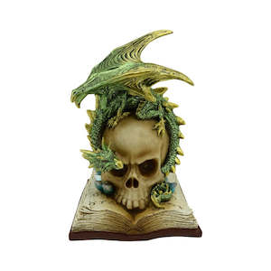 Dragons: Skull on book with Green Dragon NEW!