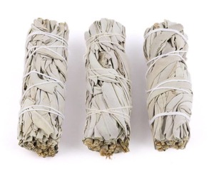 Smudge Sage Palo Santo: California White Sage Smudge Stick (4 in.)