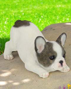 Dogs: Cute French Bulldog Puppy