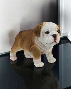 Dogs: Standing Bulldog Puppy