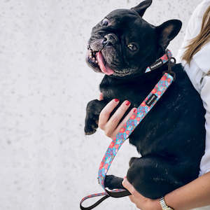 Sale: Floral Collar