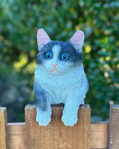 Animals: Cat Large
