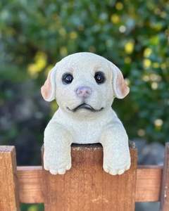 Animals: Labrador Large