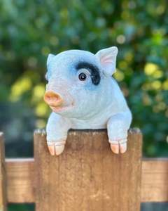 Animals: Piglet Medium