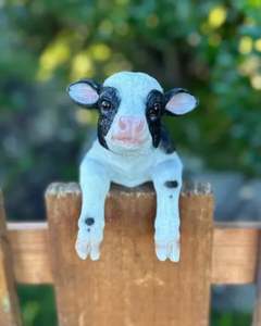 Animals: Calf Medium