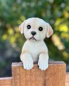 Animals: Labrador Medium