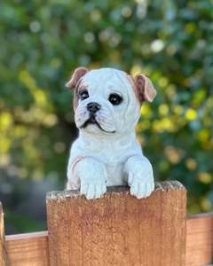 Animals: Bull Dog Medium